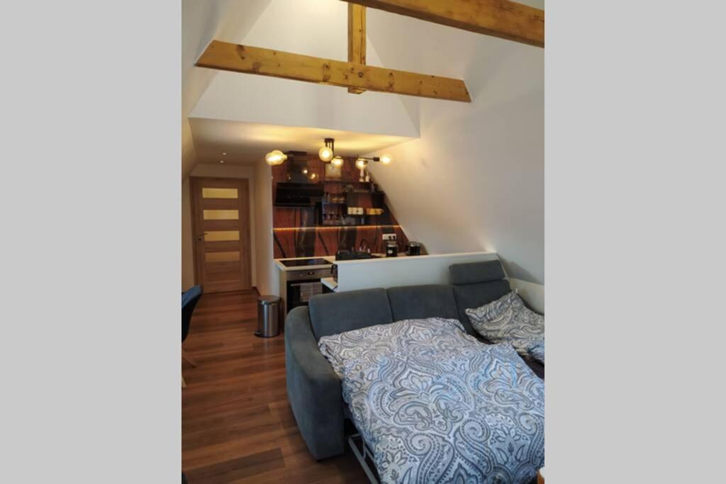 Apartman Atelier Vary V Nove Zrekonstruovanem Dome Karlsbad Exteriör bild